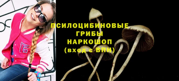 прущие крисы Нея