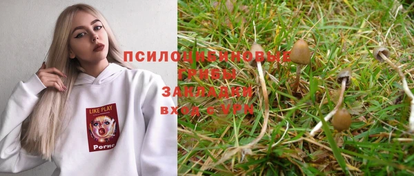прущие крисы Нея