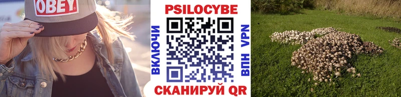 Псилоцибиновые грибы Psilocybe Рязань