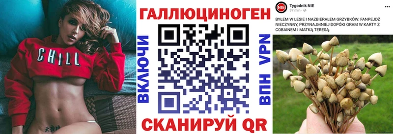 Галлюциногенные грибы Psilocybe  Рязань 